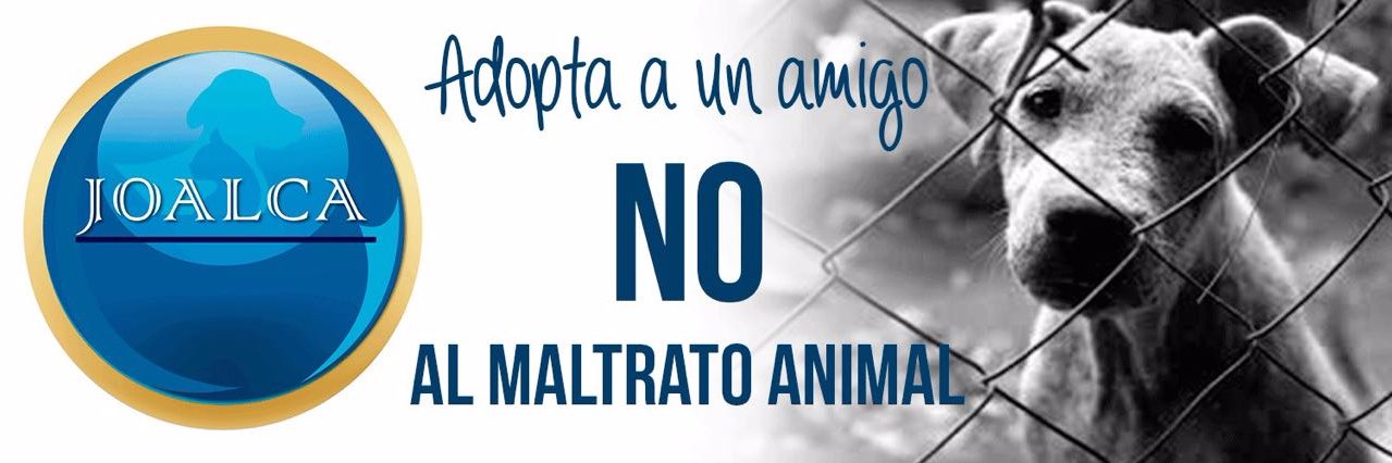 joalcapets's profile banner image