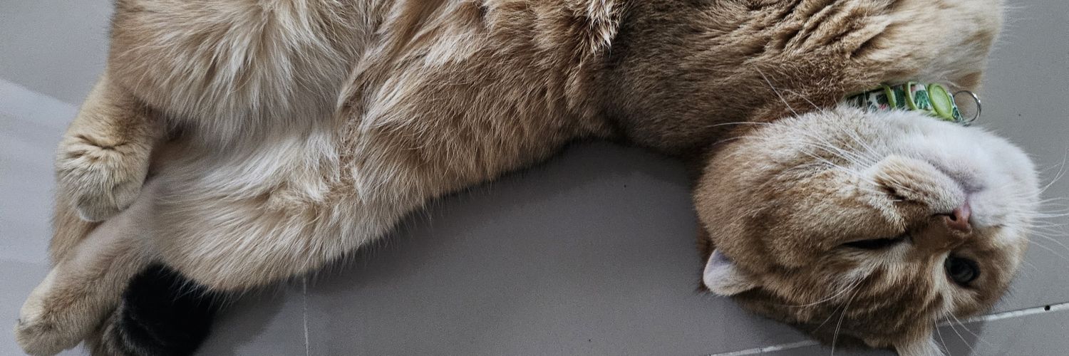 Pb.퍼버 พบ. banner