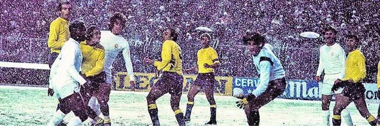 magamarillo's profile banner image