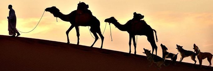 Alshaamik1's profile banner image