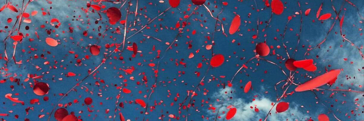 Rocio Garcia Perez banner