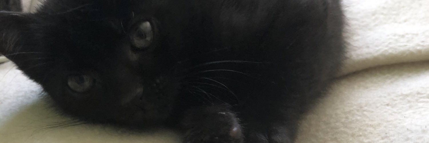 nadia_ubm's profile banner image