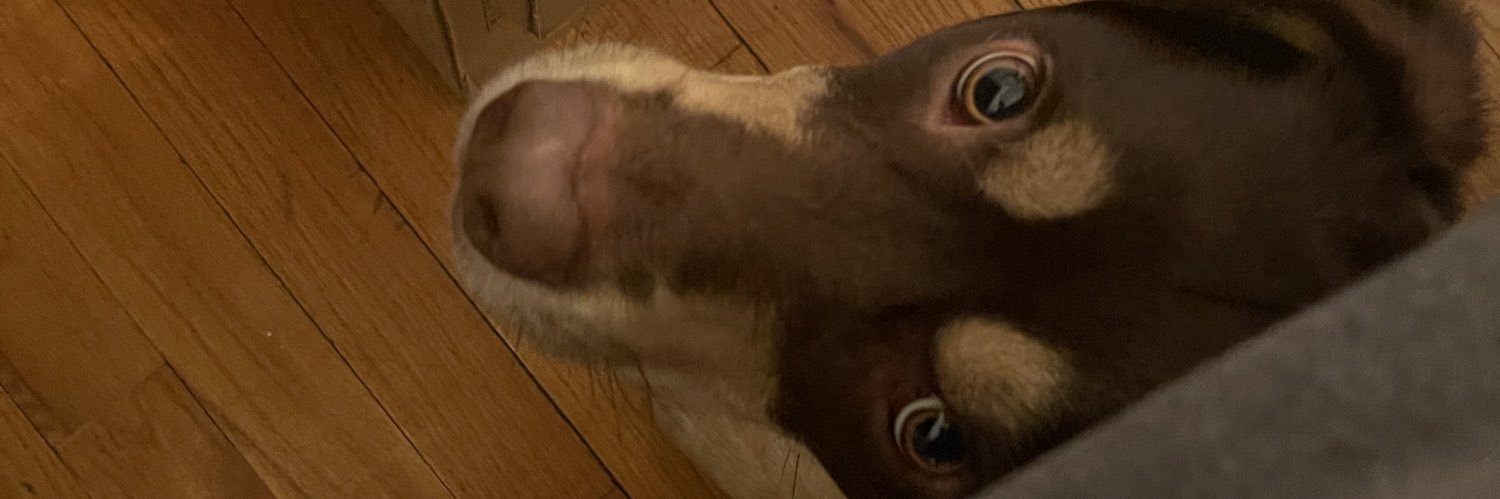 runjamesrun201's profile banner image