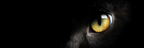 UnGatoNegro's profile banner image