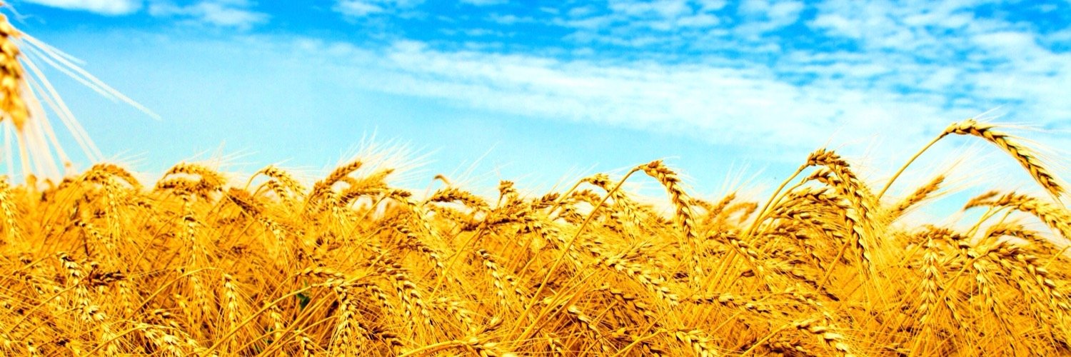 jstce777's profile banner image