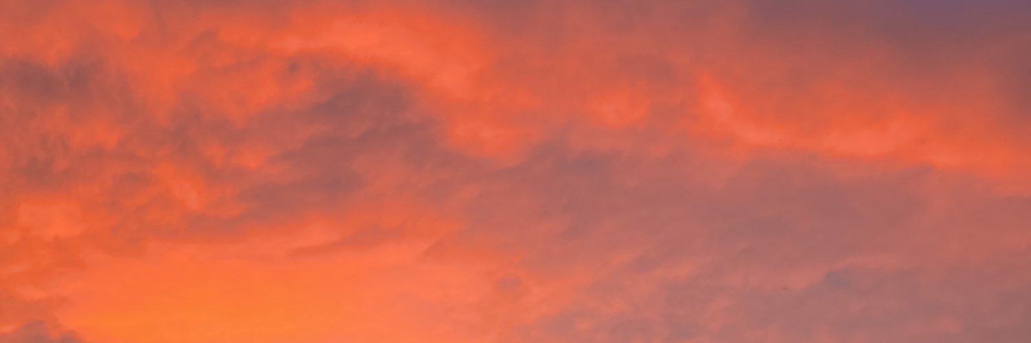 alepadillavega's profile banner image
