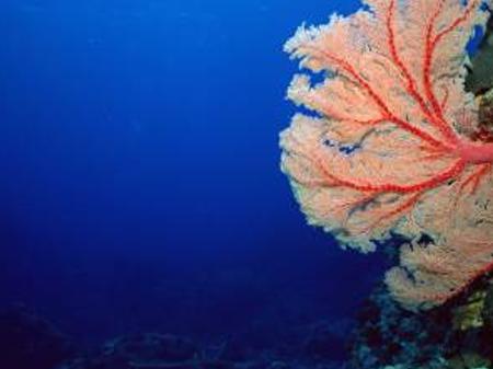 уставший студент banner