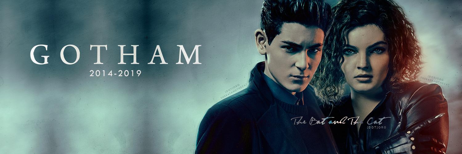 🦇 The Bat & The Cat 😼 Fan Account banner