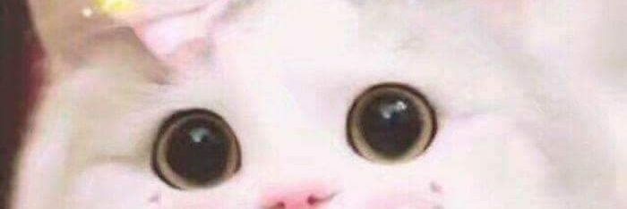 LaYanisOk's profile banner image