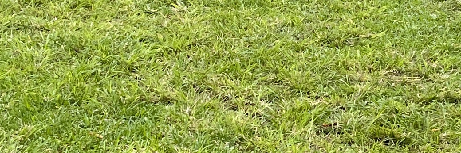Daniela_OA21's profile banner image