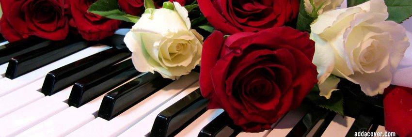 VALERIE VALICENTO banner