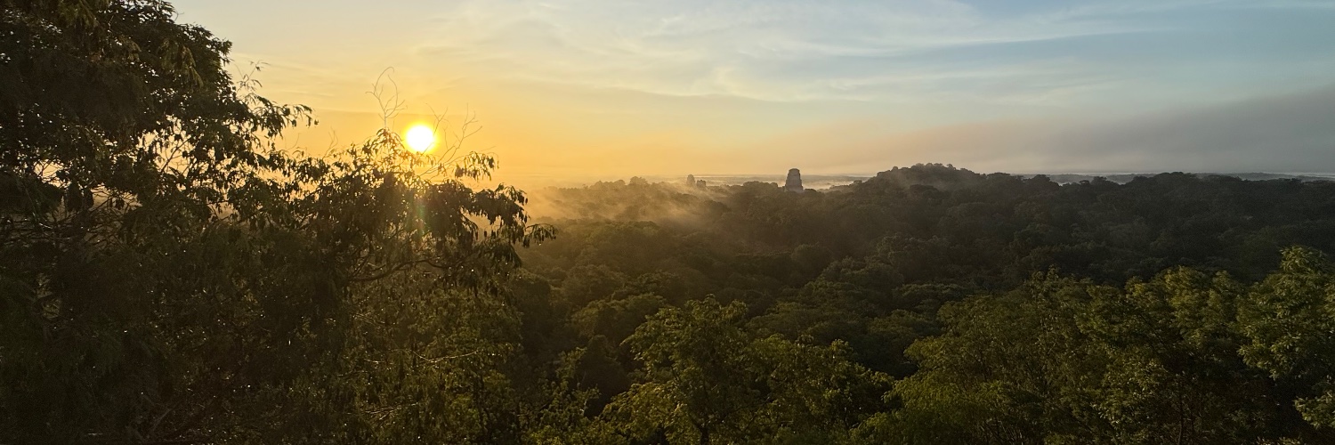 Vicente Favela banner
