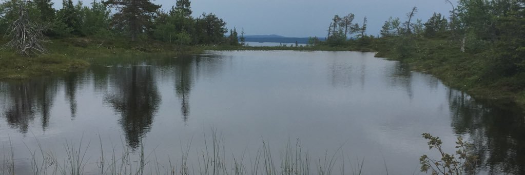 MTyhtila's profile banner image
