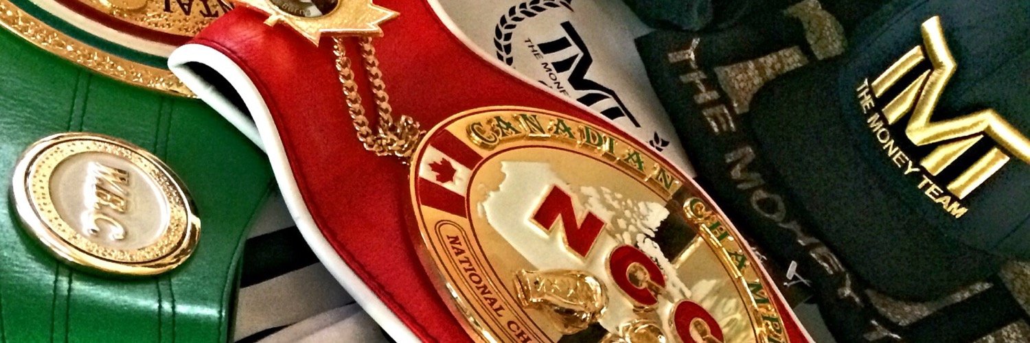 SdragonFans's profile banner image