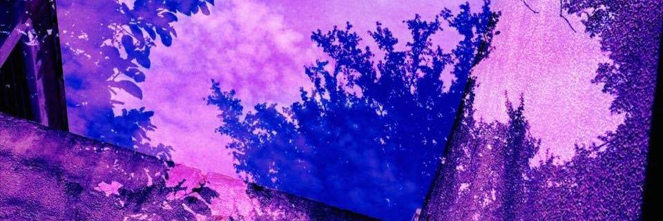 tightwolfrecs's profile banner image