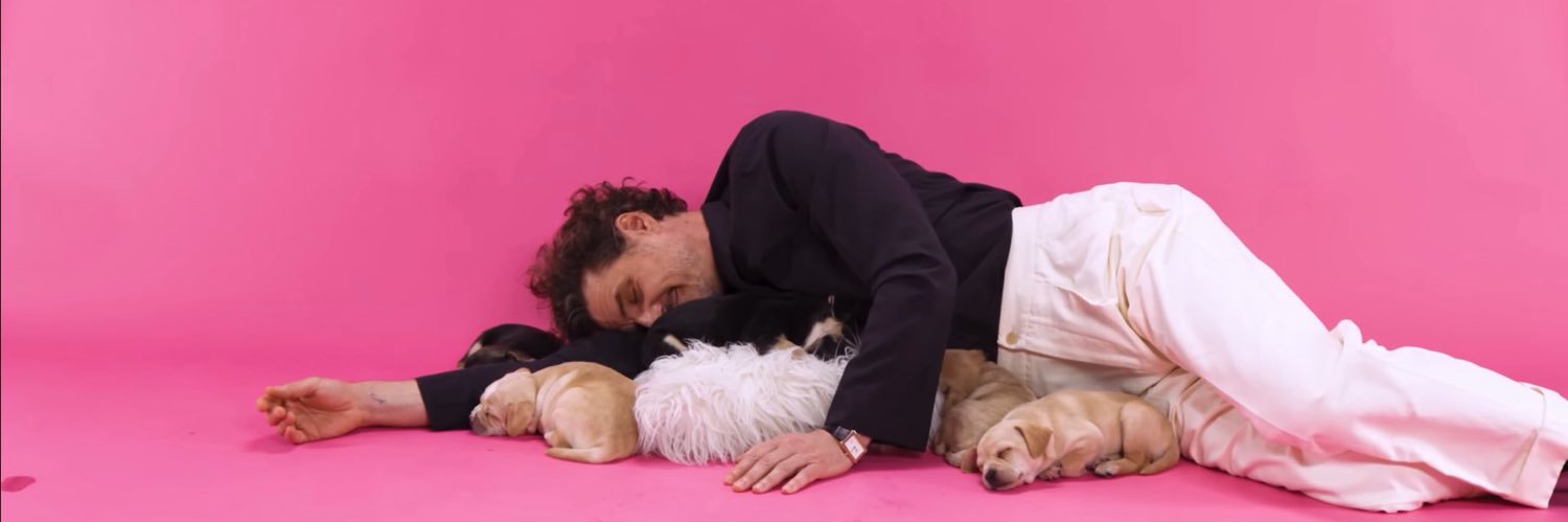 franevergreen's profile banner image