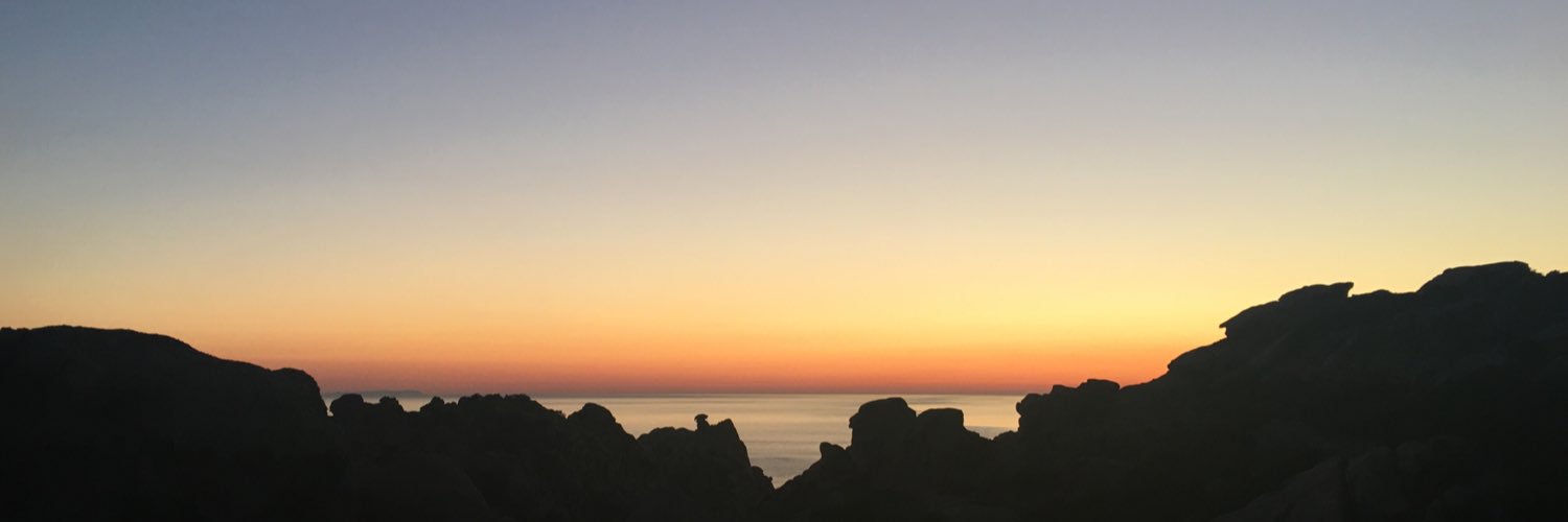 stessemolecole_'s profile banner image