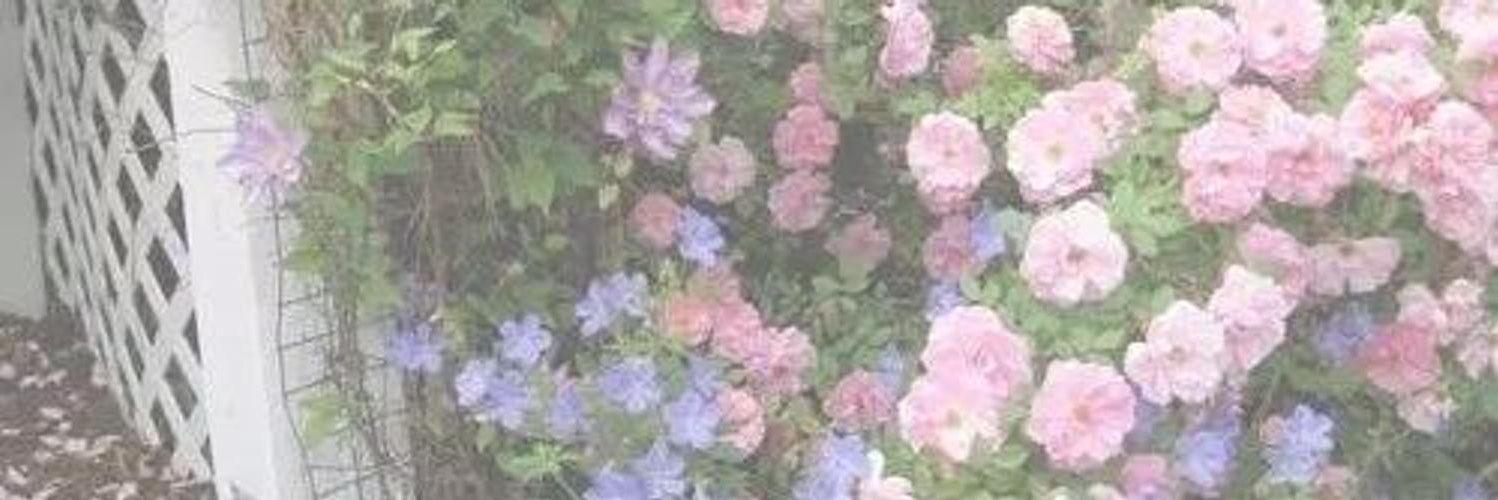 CffThcWcll's profile banner image