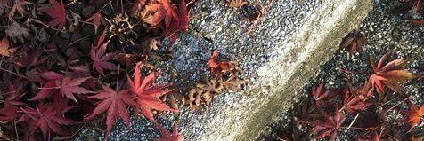 Tanjiro_32's profile banner image