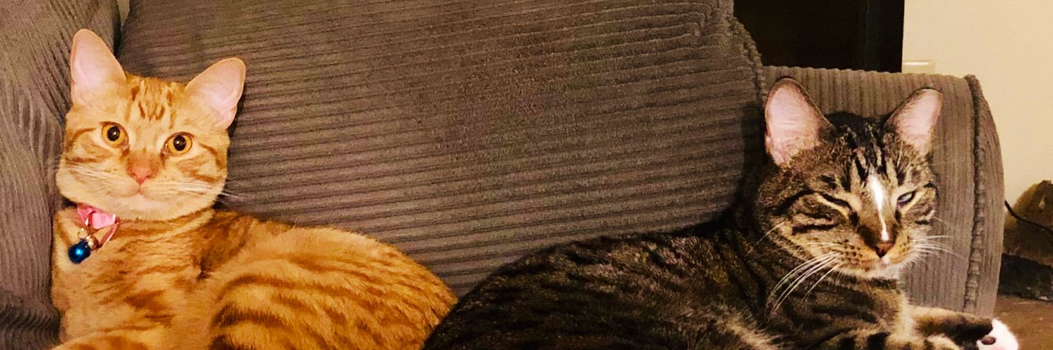 abierosete's profile banner image