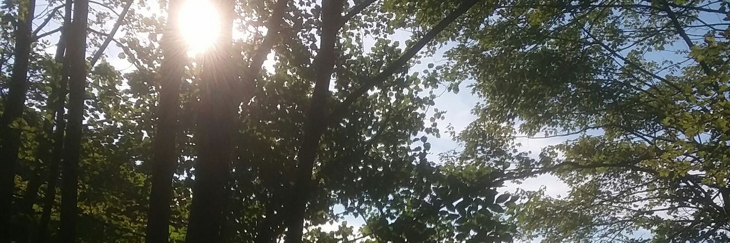 Maxamuss12's profile banner image