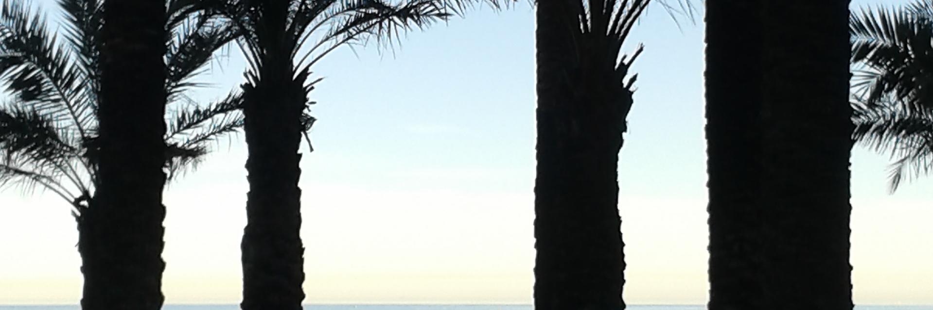 didaktikELE's profile banner image