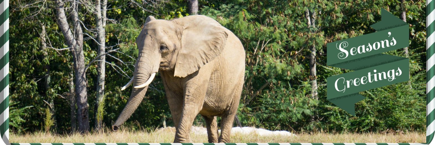 ActforNosey's profile banner image