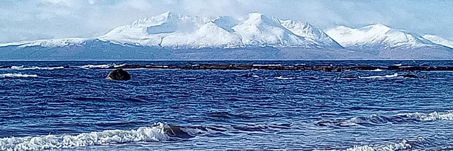 Ruth Wilkinson 💚🤍💜 banner