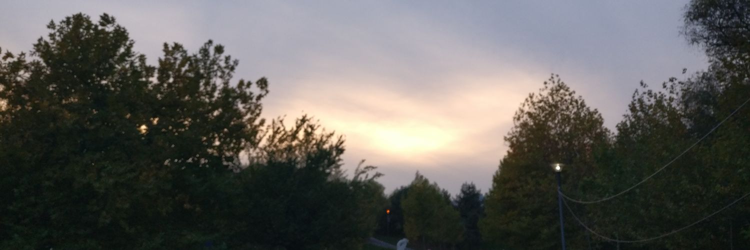 Claudiu Catargiu banner