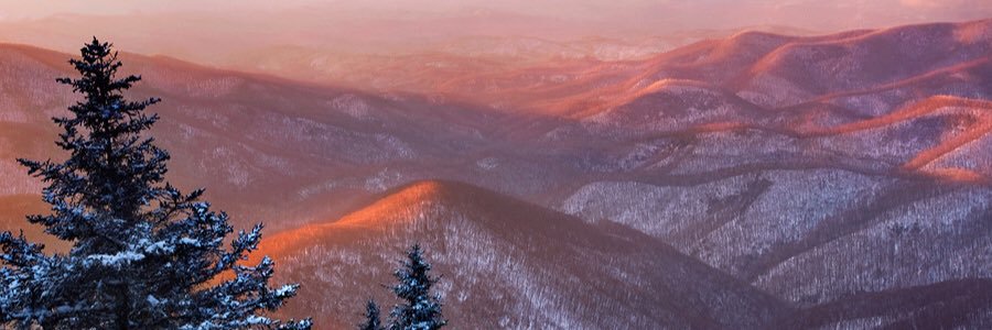 halfmilecabins's profile banner image