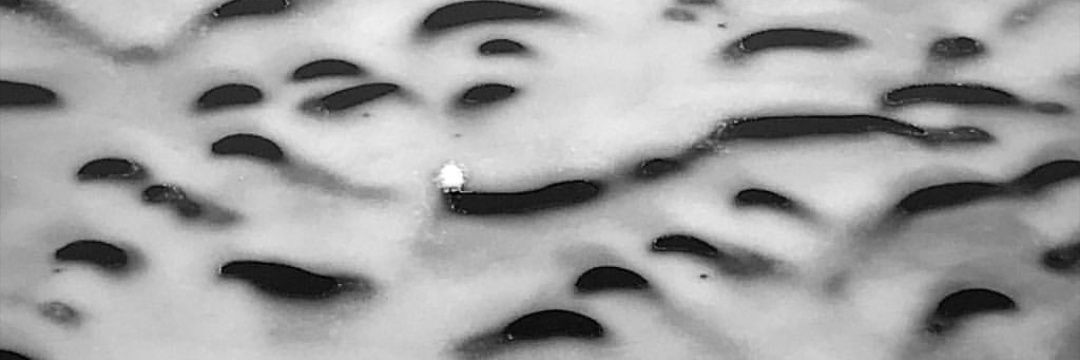 beingdeepblue's profile banner image