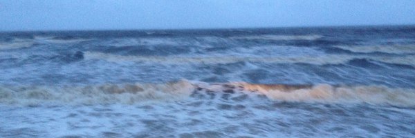 mmurnaghan Profile Banner