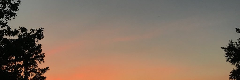 EllaReiswig's profile banner image