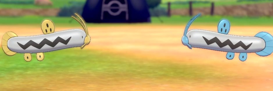 339barboach's profile banner image
