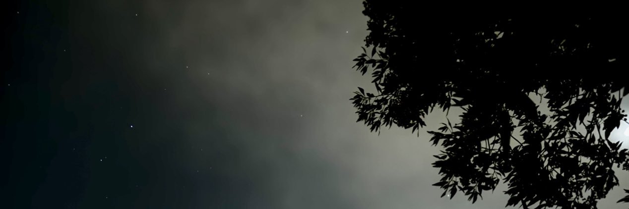 mes_l2's profile banner image