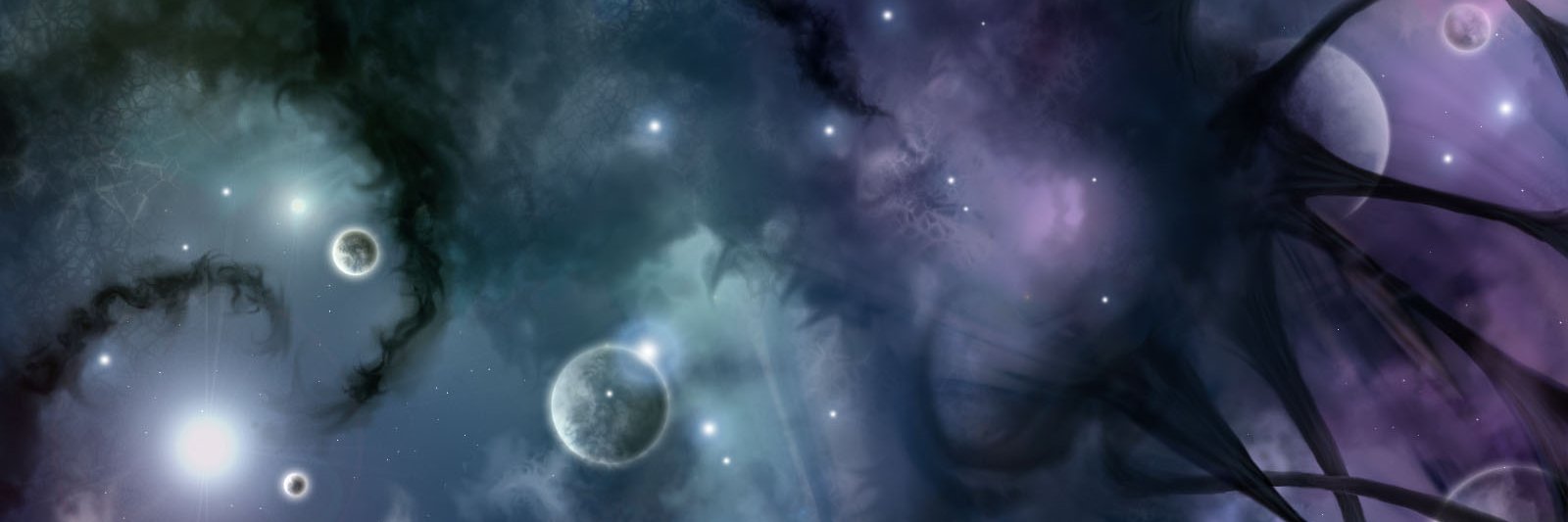 TigersRX's profile banner image