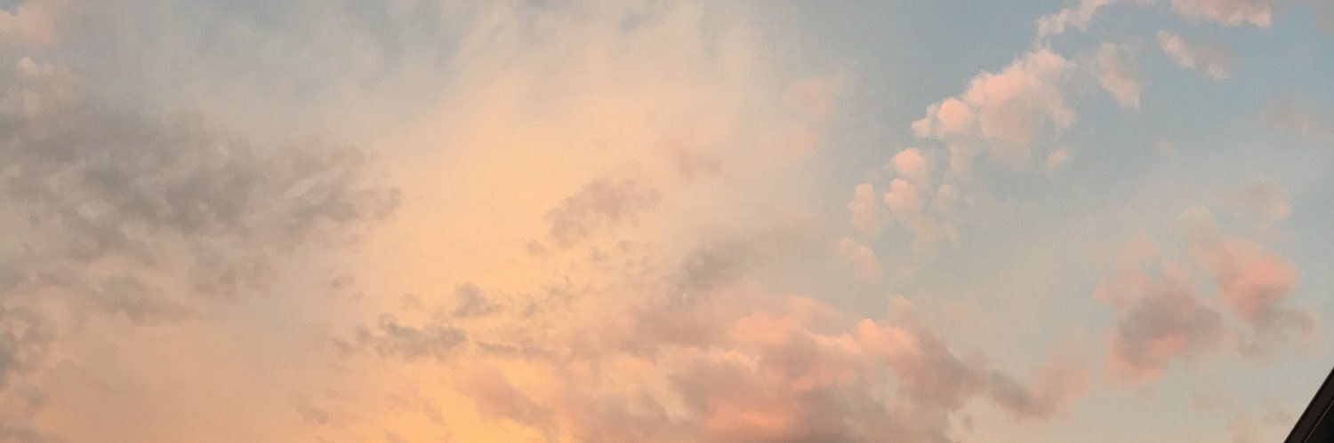 tinypinkpaws's profile banner image