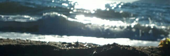 Вермеер banner