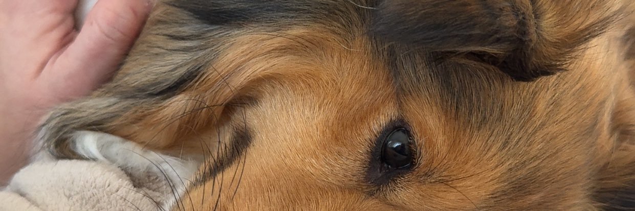 JulFr_'s profile banner image