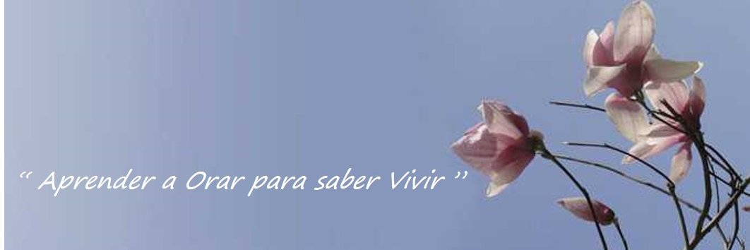 OracionVida's profile banner image