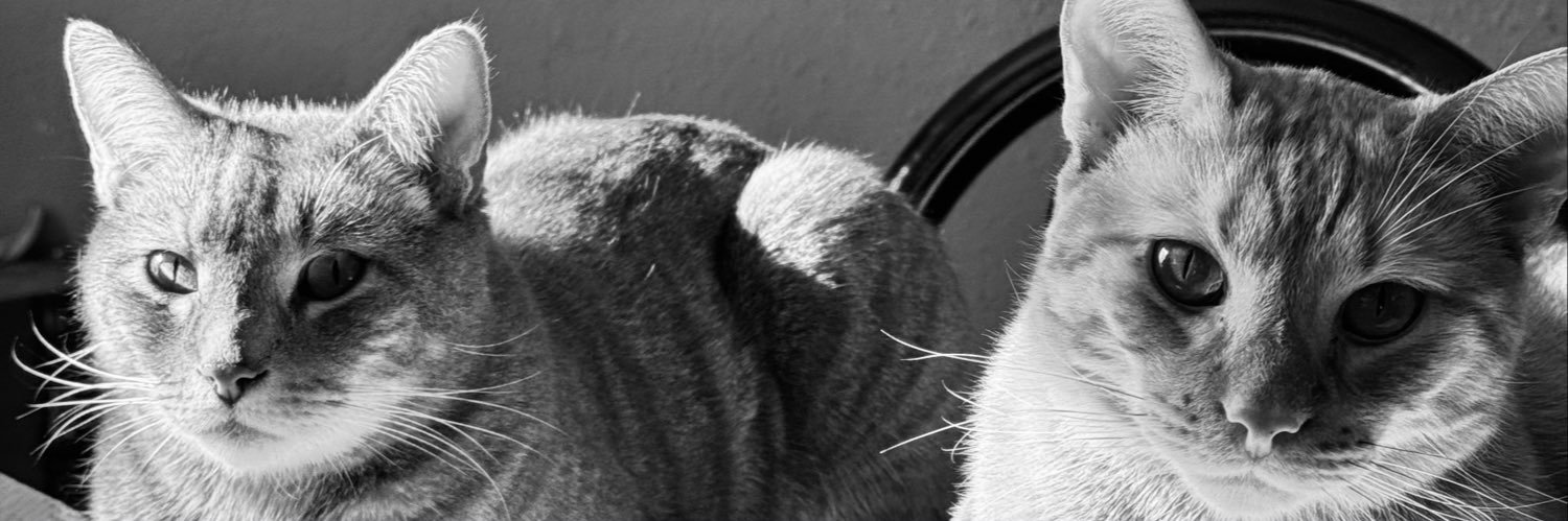 Thanialatorrez's profile banner image