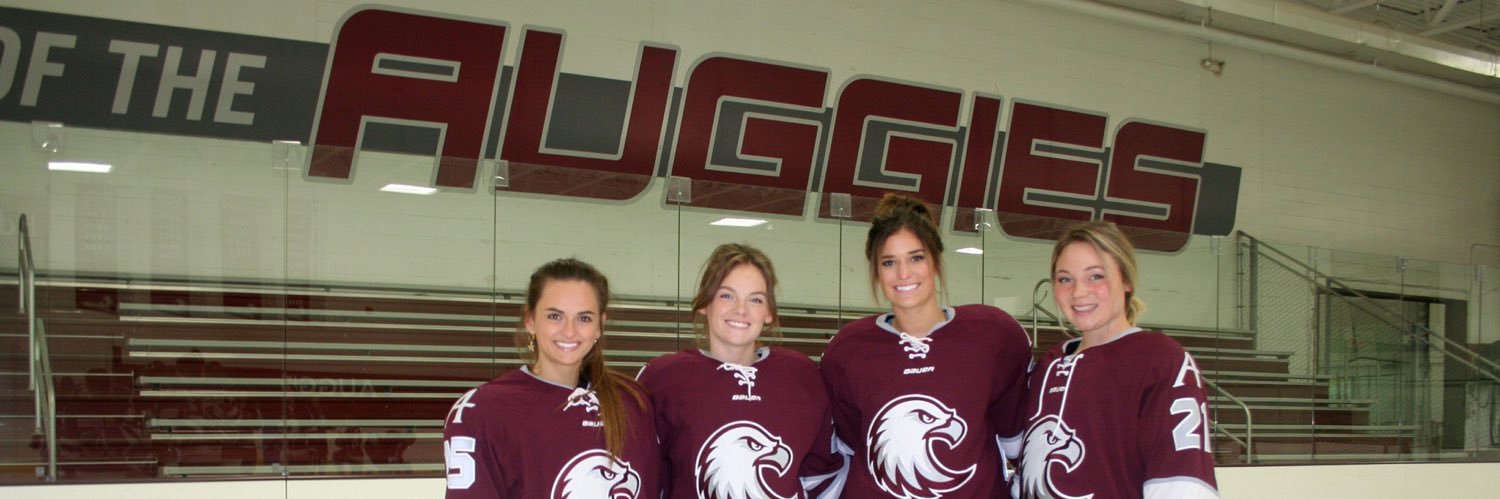 EllyStrunk's profile banner image
