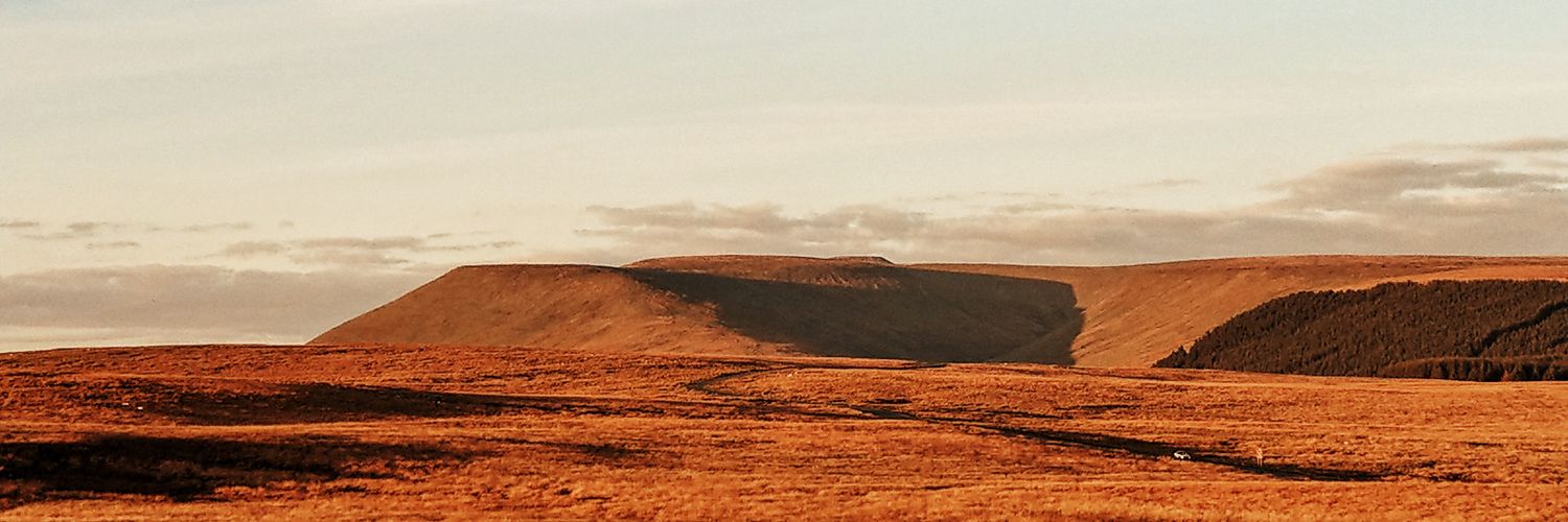 EirinCowle's profile banner image