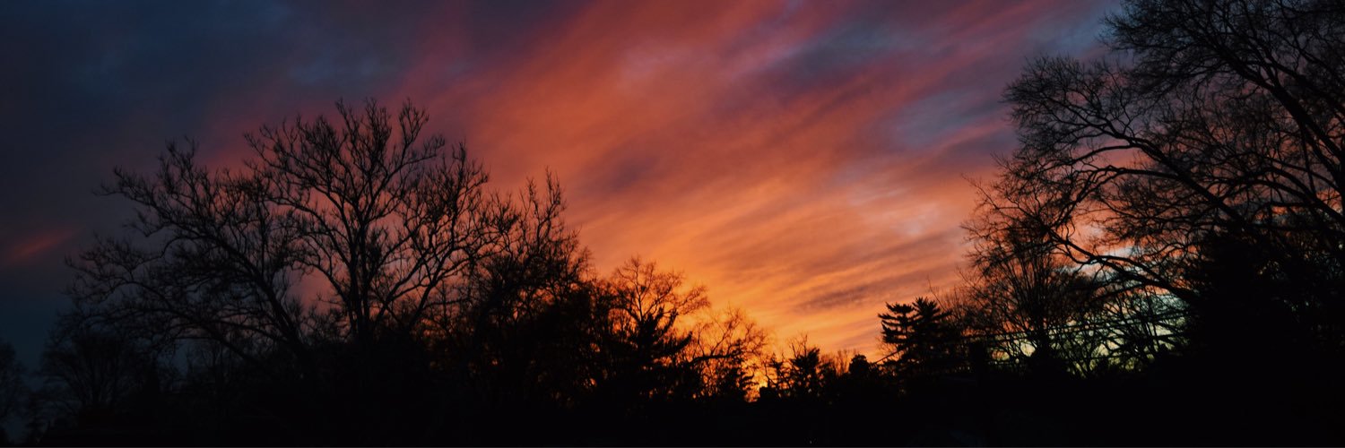 row_bitch's profile banner image
