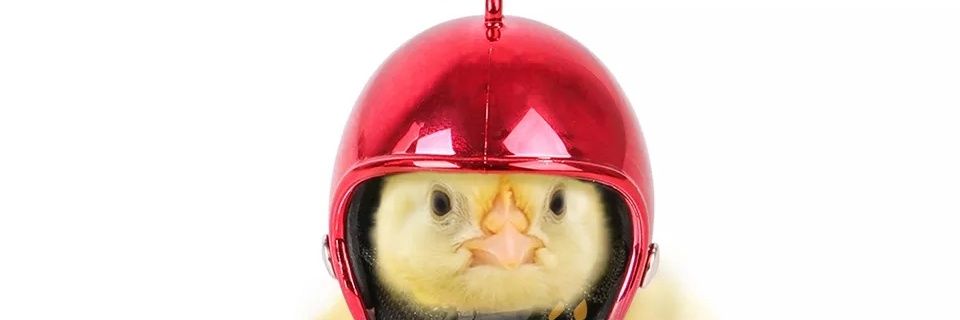 bisiking2's profile banner image