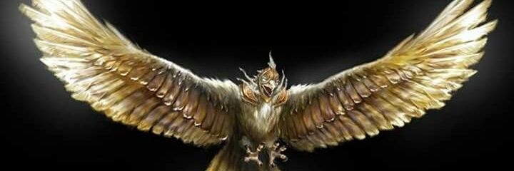 Tiburoncin0507's profile banner image