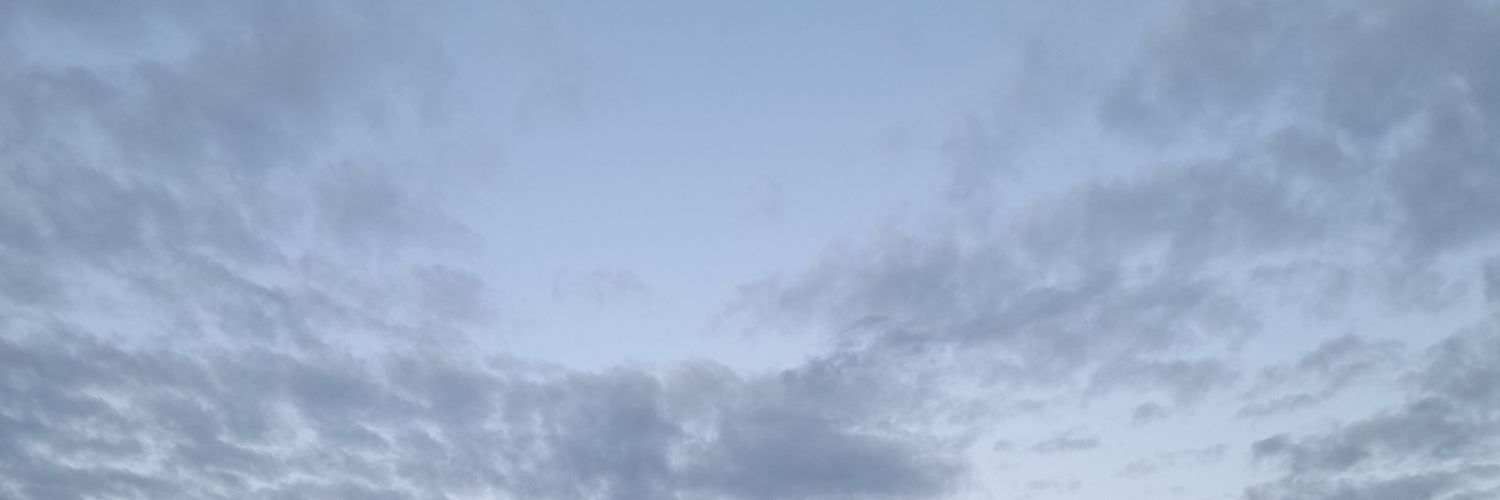 pau_shhh's profile banner image