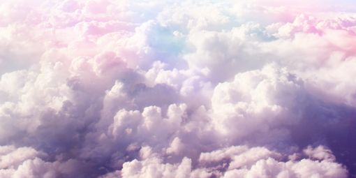 Nicolerenee14's profile banner image
