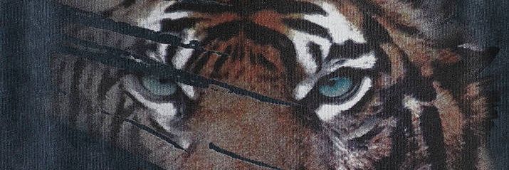 aminesultan2012's profile banner image