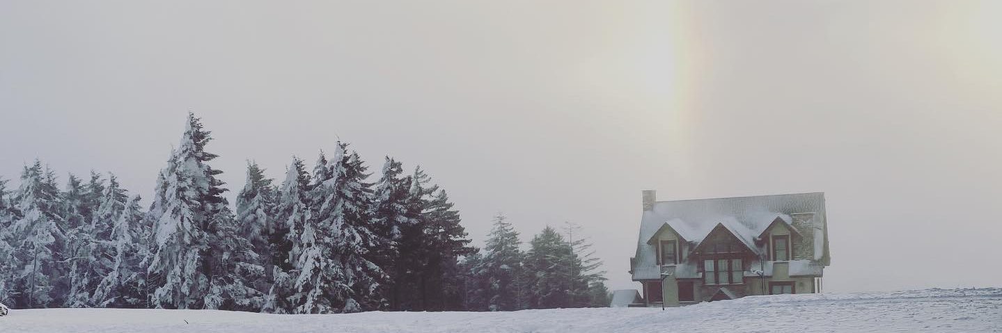 sheldonpeay6's profile banner image